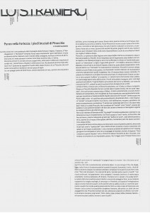 2007_pinocchio_straniero_sacchettini