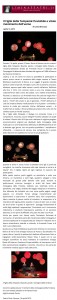 2019_figliotempesta_liminateatri_bernazza_14_04