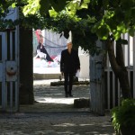 gallery_naturae_2020_094