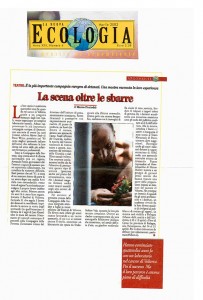 2002_fratoddi_ecologia